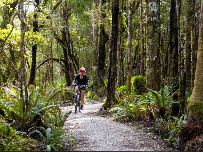 Tourism Boost fosters cooperation across top of the south as RTOs seek dispersal